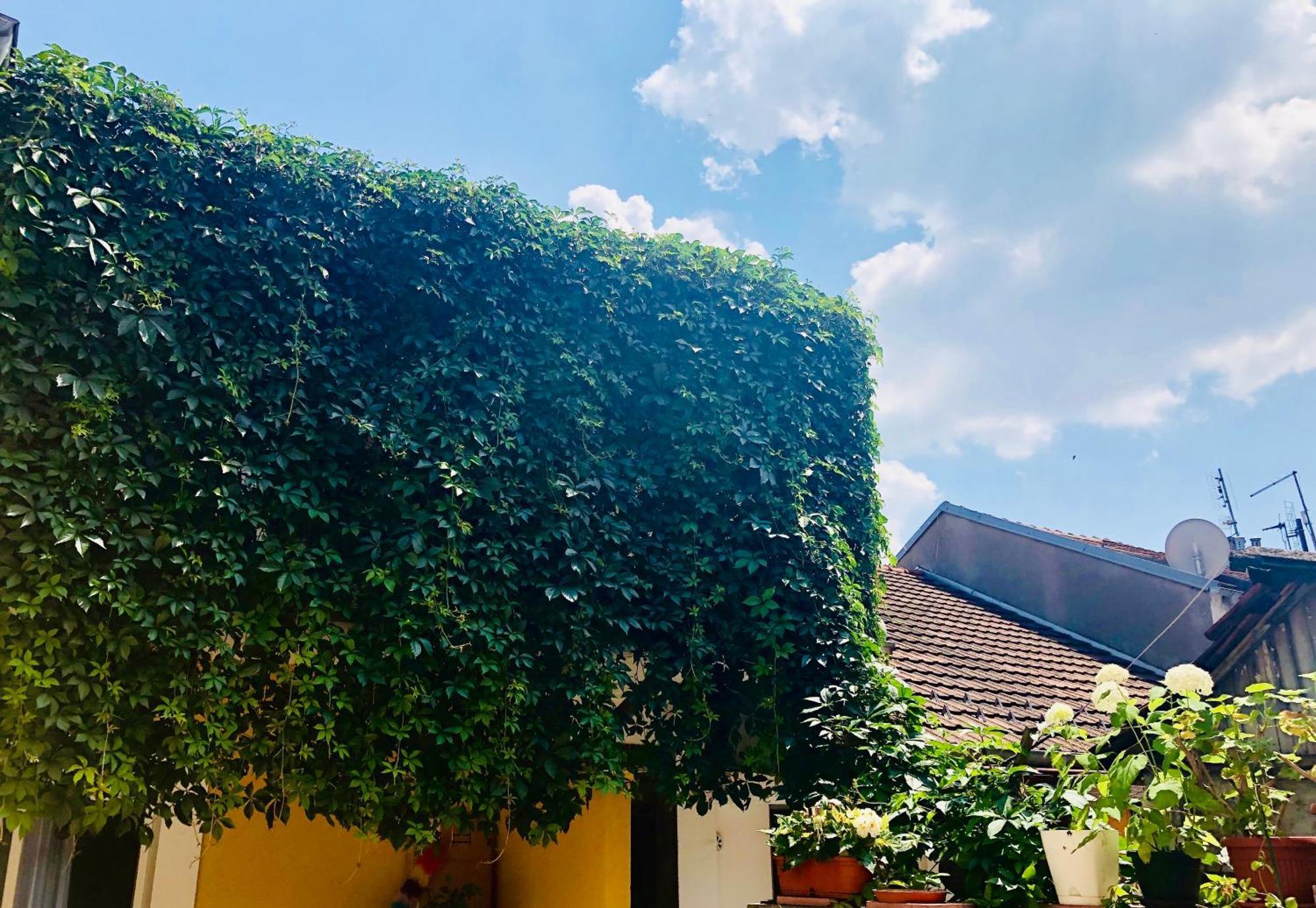 Zemoon Apartment Beograd Eksteriør billede